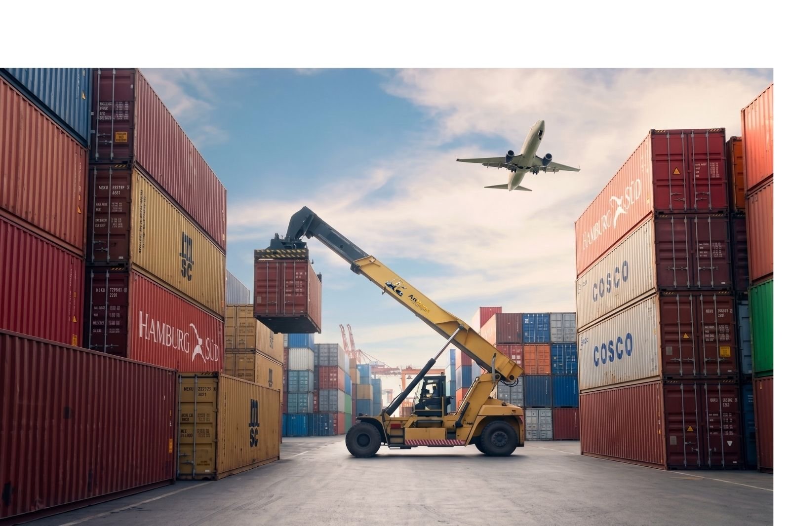 Project Cargo